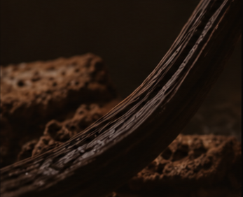 Spiced & Gourmand