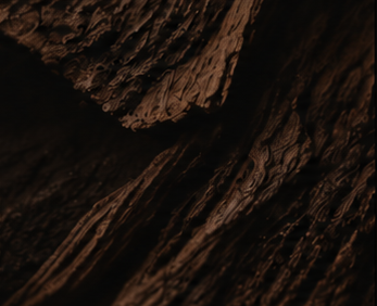 Woody & Earthy